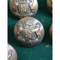 UNNION COAT OF ARMS BRASS TUNIC BUTTONS-WORN FROM 1913-DIAMETER 16 MM-SOLD IN BATCHES OF 10 TOGETHER