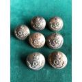 SA ARTILLERY GILT TUNIC BUTTONS ADOPTED 1926-WORN 1923-26 BY PERMANENT FORCE MEMBERS-7 SOLD TOGETHER