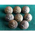 SAAF BRASS TUNIC BUTTONS WORN FROM 1933-DIAMETER 25 MM-SOLD IN BATCHES OF 8 TOGETHER