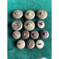 THE SOUTH STAFFORDSHIRE REGIMENT TUNIC BUTTONS- 13 IN TOTAL-SOLD TOGETHER-WORN 1885-1958-DIAMETER 26