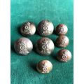 ROYAL PIONEER CORPS BUTTONS-WORN PRE 1946- 8 SOLD TOGETHER-DIAMETER 26 AND 20 MM