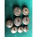 ROYAL PIONEER CORPS BUTTONS-WORN PRE 1946- 8 SOLD TOGETHER-DIAMETER 26 AND 20 MM