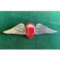 SA FREEFALL INSTRUCTOR,CHROME AND ENAMEL,FULL SIZE WING-WORN FROM THE 1970`S-(CENTRE WITH LUCITE COA