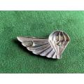 AIR SUPPLY,CHROME AND ENAMEL,FULL SIZE WING- 2 PINS