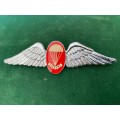 SA PARACHUTE FREE FALL INSTRUCTOR,CHROME AND ENAMEL,FULL SIZE WING,WORN FROM THE 1970`S-2 PINS