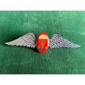 SA PARACHUTE FREEFALL INSTRUCTOR,CHROME AND ENAMEL FULL SIZE WING- WORN FROM 1970`S- 2 PINS