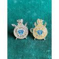 RHODESIAN INTELLIGENCE CORPS GOLD ANODISED COLLAR BADGE PAIR-WORN 1975-80-LUGS COMPLETE