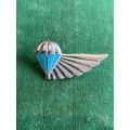 AIR SUPPLY,FULL SIZE CHROME AND ENAMEL WING- 2 PINS