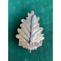 REGIMENT UNIVERSITY STELLENBOSCH CAP BADGE-WORN POST 1964-2X SCREW LUGS