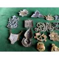 SELECTION OF 18 SA AND SWA BADGES-SOME OF THEM WITHOUT LUGS