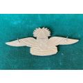 SWAZILAND INSTRUCTOR PARACHUTE WING-WHITE WINGS WITH GOLD,CENTRE CROWN- 2 PINS