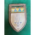 8 SA INFANTRY BATTALION WITH NORTHERN CAPE COMMAND BAR-TUPPER FLASH- ONE PIN
