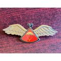 LESOTHO DEFENCE FORCE FREEFALL PARACHUTE WING-NUMBERED NO 73-GILDING METAL WINGS WITH RED ENAMEL CEN