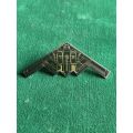 STEALTH BOMBER BADGE- 2 PINS