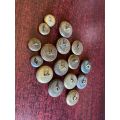 SA COAT OF ARMS-TUNIC BUTTONS-16 IN TOTAL-SOLD TOGETHER