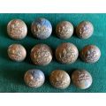 RHODESIA BRASS TUNIC BUTTONS-11 IN TOTAL-WORN 1942-54-DIAMETER 22 AND 18 MM
