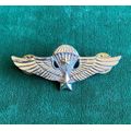 REPUBLIC OF VIETNAM SPECIAL FORCES-SENIOR PARA WING- 2 PINS