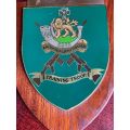 RHODESIAN LIGHT INFANTRY TRAINING TROOP PLAQUE,PRESENTED TO 727686 L/CPL F.M MANTIA INTAKE 152 13/08