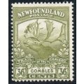 Canada Newfoundland 1919 Caribou 36c sage-green very lightly mounted mint. SG 141. Cat £24 (2018)