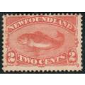 NEWFOUNDLAND 1887 2c ORANGE VERMILION U.M.M. SG 51. CAT £27 (2018).