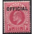 Natal 1904 KEVII Official 1d carmine unmounted mint. SACC 2. Cat R270. (2019-20)