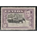 Ceylon 1938 KGVI Definitive 50c perf 13½ lightly mounted mint. (brownish gum) SG 394b Cat £28 (2022)