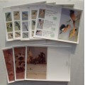 Printed Cards Animals/Birds unused