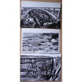 Postcards - Western Cape RPPC [Real Photo] vintage