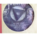 Record Seven Single `Ag Pleez daddy` Jeremy Taylor