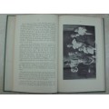 Book - Gedenkboek Nieuwoudville - 1947