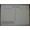 Postcards x 3 - RPPC - UK - Unused