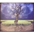 Mousepad - Colourfull Pictures Various - Size 25x29cm