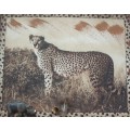 Artwork - Cheetah - Solid Wood Frame