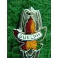Guelph silver plated spoon in good condition