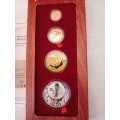 RARE 2010 FIFA WORLD CUP Celebration GOLD AND SILVER SET