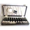 A SILVER PLATED 13 PIECE FRUIT SET BOXED--Excellent condition. Hardly used