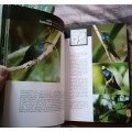 HUMMINGBIRDS OF ECUADOR FIELD GUIDE - ROBERT S. RIDGELY