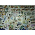 RSA, CISKEI, SWA Stamps - many mint