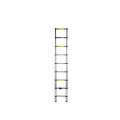 5.4m Telescopic Ladder