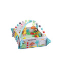 5 in 1 Activity Gym & Ball Pit