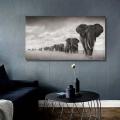 Black & White Wall Art on Canvas Frame - Herd Of Elephants Art Work (50X100cm)