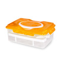 Egg Storage Box orange