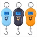 50kg/10g Digital LCD Portable Electronic Hanging Hook Luggage Scale Weight