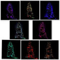 10 Metres Christmas Lights  LED With Flashing Patterns & Tail Plugs 220V