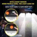 30W solar sensor light with remote control