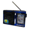 Portable FM/AM/SW1-8 10 Band Radio