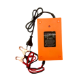 12V 15A Pulse Charger