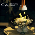 Rechargeable Crystal Camping Lamp
