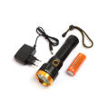 Waterproof Rechargeable Professional Flashlight