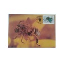 1987 - SWA Useful Insects -  Maximum Cards